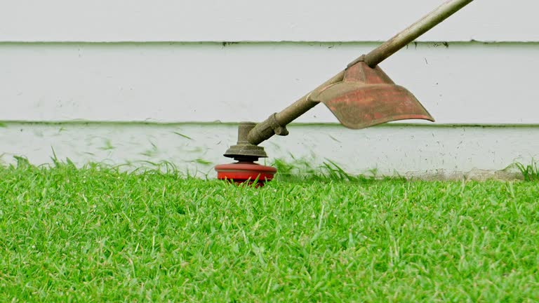 Best Tree and Shrub Care  in Crocker, WA